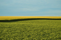 farm-field-midwest-pixa