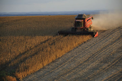 soy-crops-pixa