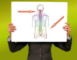 spine-body-pixa
