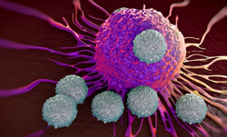 Activating the immune system at the site of a tumor can recruit and stimulate immune cells to destroy tumor cells. (CREDIT: Creative Commons)