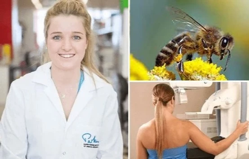 A compound in the venom called melittin could destroy breast cancer cells within an hour.  (CREDIT: Creative Commons)