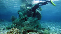Ghost Gear Haunts the Oceans in a Growing Threat Scientific American