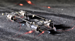 Inspired by fireflies, MIT researchers have created soft actuators that can emit light in different colors or patterns. CREDIT: Image courtesy of Kevin Chen, Suhan Kim,et al