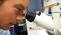 American Innovation Science Invest in Research Reform Education National Review