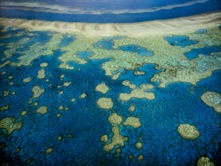 An aerial view of the islands of the great barrier 2022 03 04 02 08 58 utc