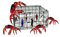 Crab Trap