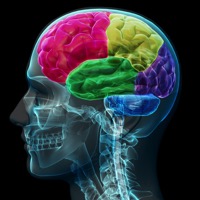 Brain coloed sections 2021 08 26 18 50 01 utc