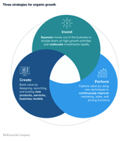Building an engine for growth that funds itself McKinsey Company