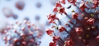 Coronavirus cells in microscopic view 2021 08 27 15 22 07 utc