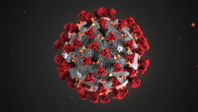 This illustration provided by the Centers for Disease Control and Prevention in January 2020 shows the 2019 Novel Coronavirus (2019-nCoV). This virus was identified as the cause of an outbreak of respiratory illness first detected in Wuhan, China. (CDC via AP)