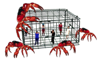 crabtrap