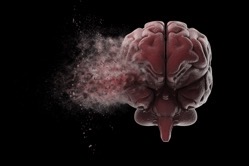 Exploding brain 2021 08 26 15 33 00 utc