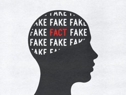 Fake or fact brain in the head 2021 10 16 23 37 10 utc