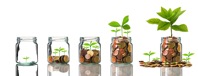 Gold coins and seed in clear bottle on white backg 2021 08 31 10 36 45 utc