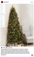 Half Christmas trees spark mixed reviews Fox News