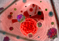 Herpes virus genetically engineered to kill cancer