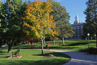 How a Small College Thinks It Can Survive Covid 19