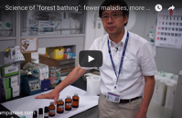 How the Japanese Practice of Forest Bathing Or Just Hanging Out in the Woods Can Lower Stress Levels and Fight Disease Open Culture