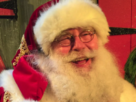 I ve played Santa for 17 years these are questions I get asked often Business Insider