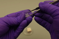 Invisible Ink Could Reveal whether Kids Have Been Vaccinated Scientific American