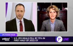 IPO market in a wait and see period EY Americas IPO leader says