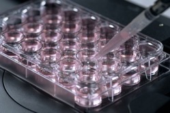 Life science research 2021 08 26 16 53 37 utc