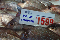 More fishing vessels chasing fewer fish new study finds ScienceBlog com