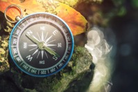 Navigater Compass
