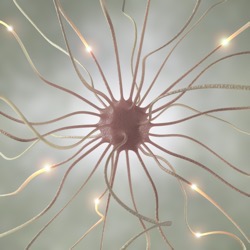 Nerve cell pulse 2021 08 26 18 26 31 utc