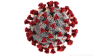 Before we say goodbye to 2020, let's look back at the top stories of the year.
Centers for Disease Control & Prevention