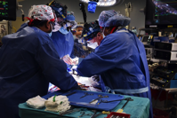 Surgeons at the University of Maryland Medical Center transplanted a genetically altered pig heart into David Bennett.Credit: University of Maryland School of Medicine