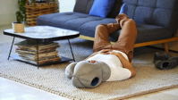 Ostrichpillow