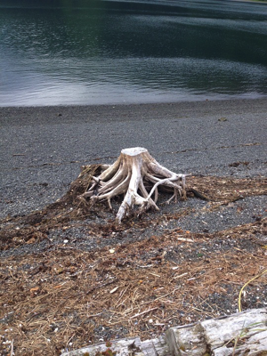 alaska coast