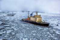arctic