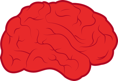 brain