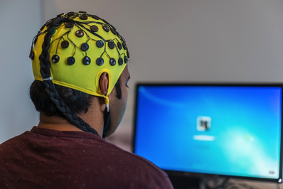 brain