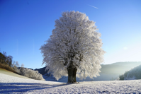 cold