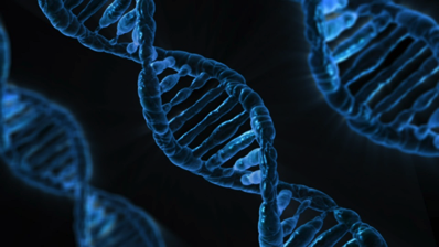 dna