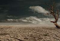 drought