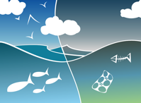 ecosystem
