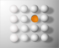 eggs