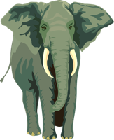 elephant