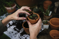 gardening