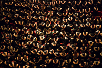 graduates