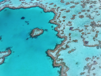 great barrier reef