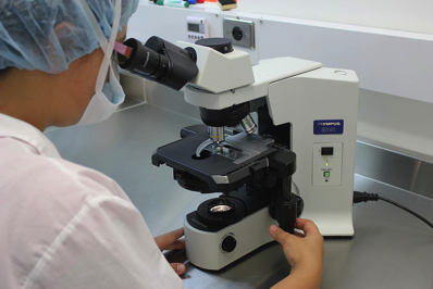 lab