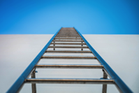 ladder