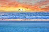 MYRTLE BEACH