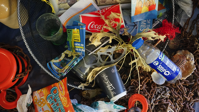 ocean garbage