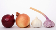 onions and garlic
